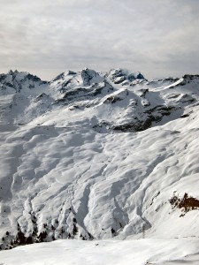 4357756474_5da0613678_z