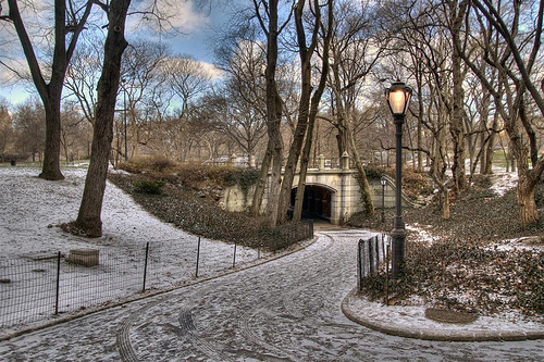 Picture entitled Central Park from Nicholas Oatridge