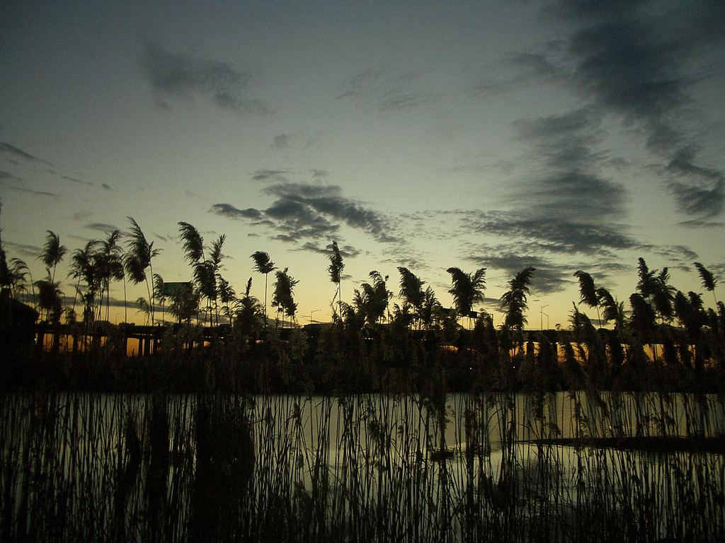 Picture entitled Meadowlands from Nicholas Oatridge