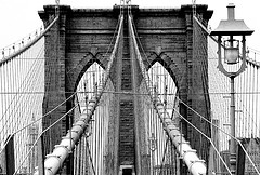 (c) Nic Oatridge - Brooklyn Bridge
