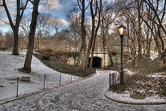 (c) Nic Oatridge - Central Park